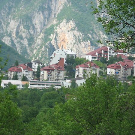 Apartment Vera Плужине Екстер'єр фото