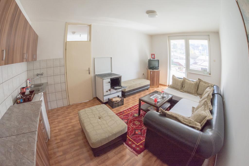 Apartment Vera Плужине Екстер'єр фото